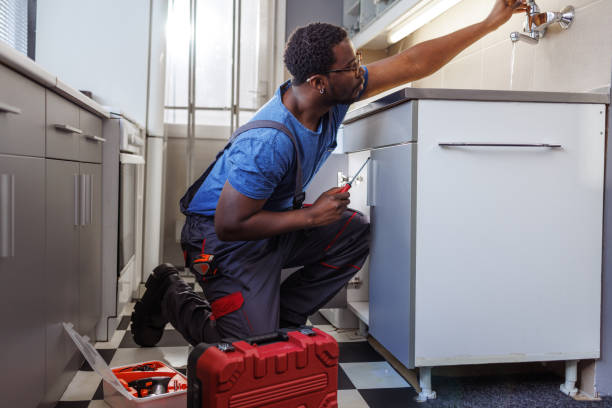 Best Water Softener Installation  in West Lealman, FL